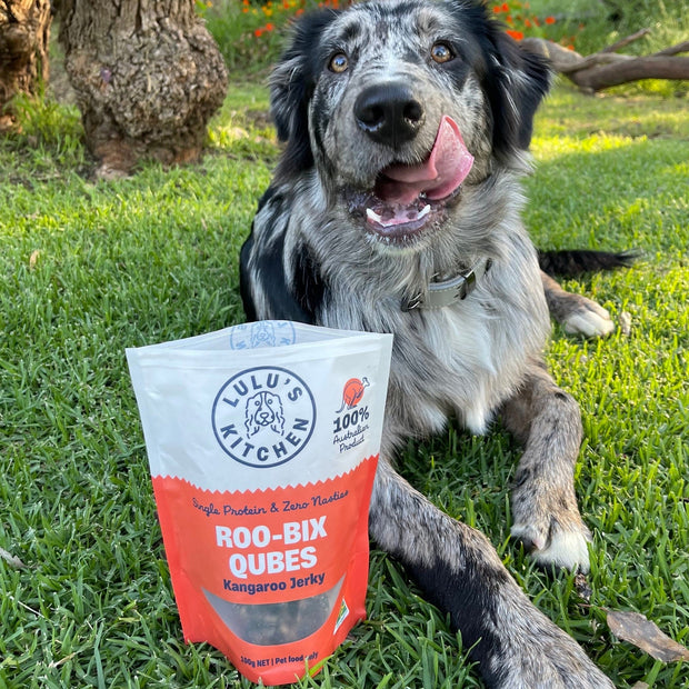 Kangaroo Qubes Training Treats – Aussie, No Additives