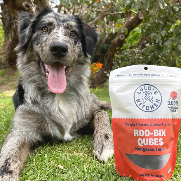Kangaroo Qubes Training Treats – Aussie, No Additives