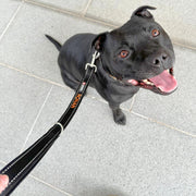 Training Leads For Dogs - 50cm Length - Australian Made