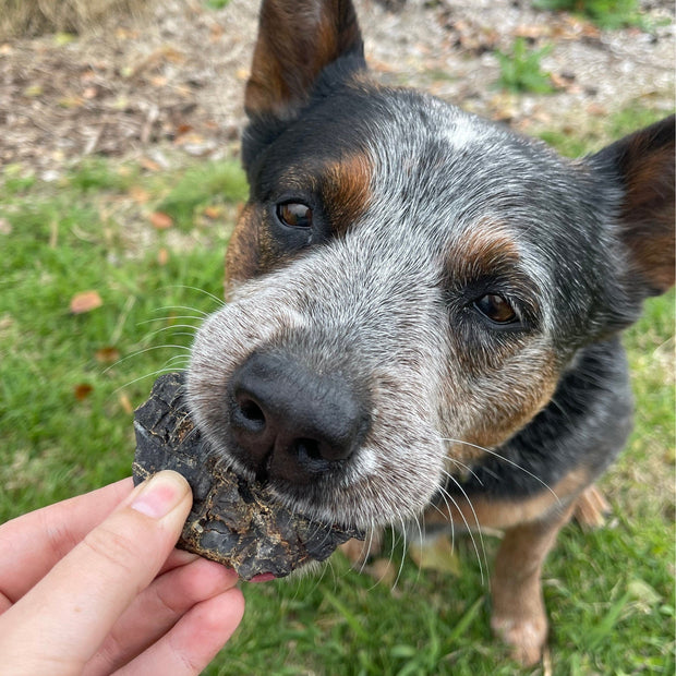 Beef Liver Dog Treats – Aussie Made, High‑Protein