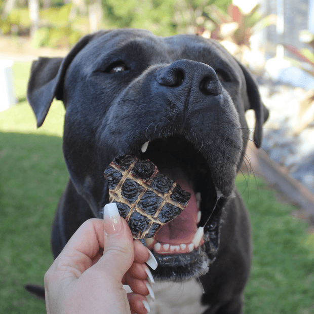 Beef Liver Dog Treats – Aussie Made, High‑Protein