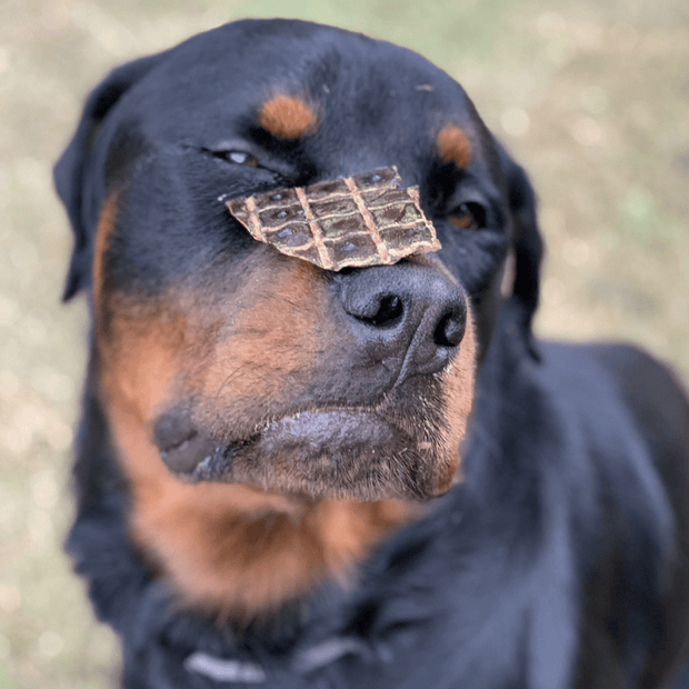 Beef Liver Dog Treats – Aussie Made, High‑Protein