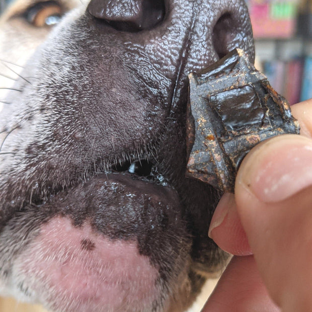 Beef Liver Dog Treats – Aussie Made, High‑Protein